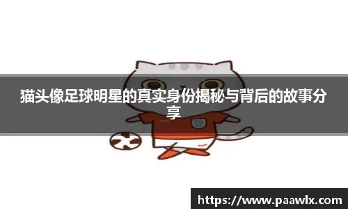 猫头像足球明星的真实身份揭秘与背后的故事分享