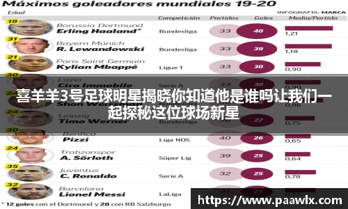 喜羊羊3号足球明星揭晓你知道他是谁吗让我们一起探秘这位球场新星
