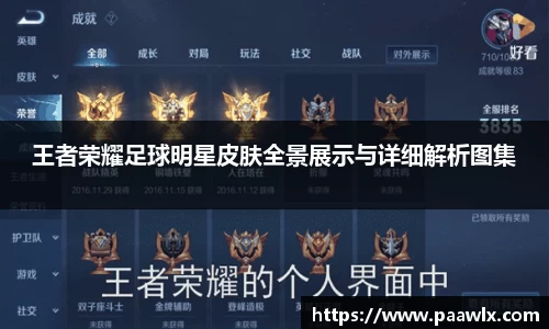 王者荣耀足球明星皮肤全景展示与详细解析图集